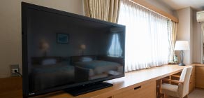 50 inch Large Screen TV