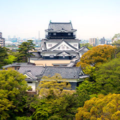 フォトギャラリー