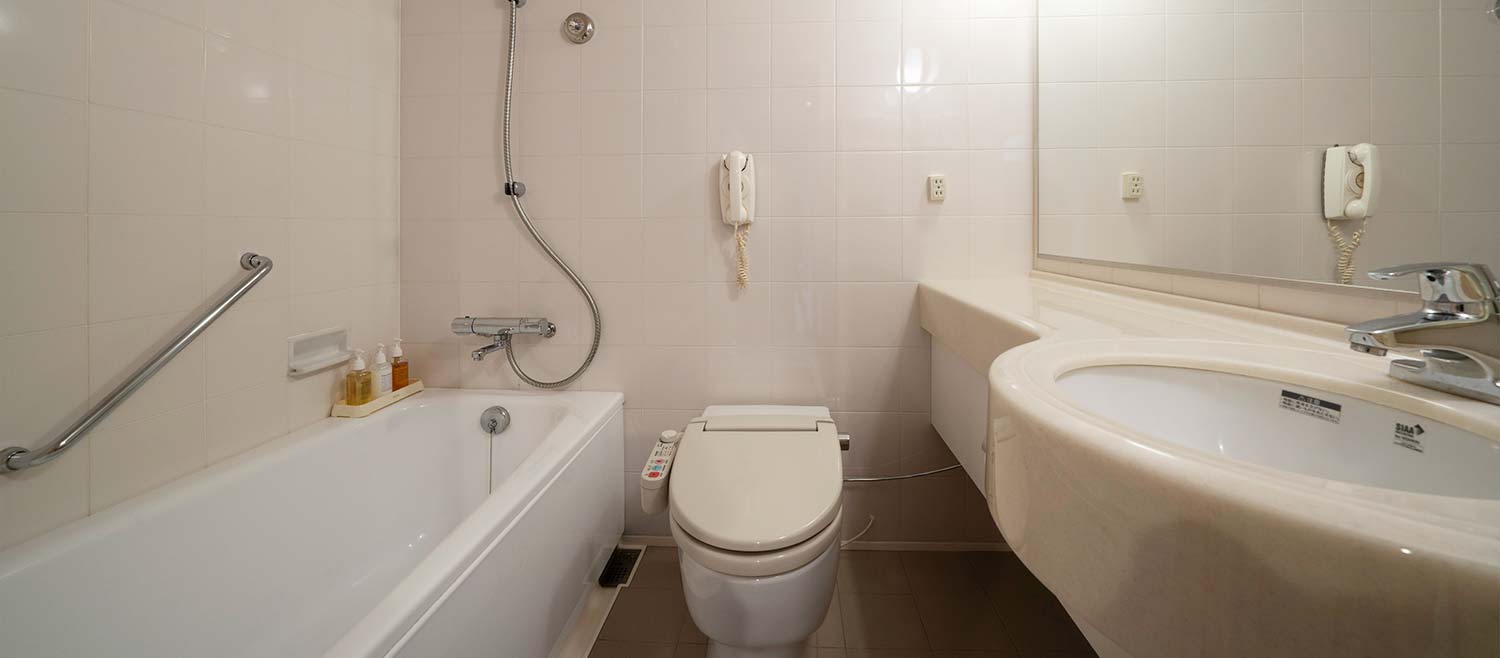 岡崎ニューグランドホテル デラックスツインイメージ